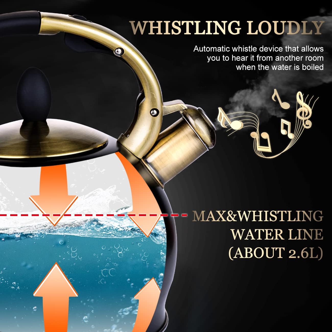 SUSTEAS 2.6QT Tea Kettle – Black