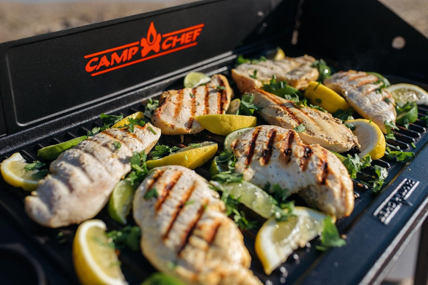 Camp Chef 16" x 24" Griddle