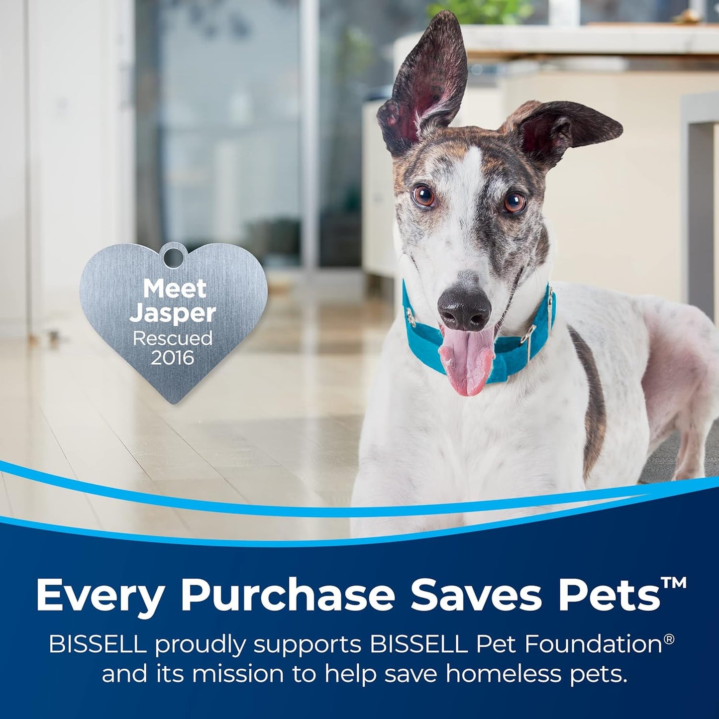 Bissell Pet Upright Vacuum